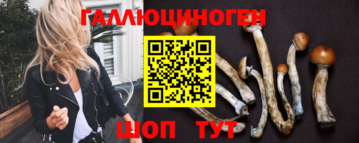 Псилоцибиновые грибы Cubensis  Вход с VPN  Миллерово 