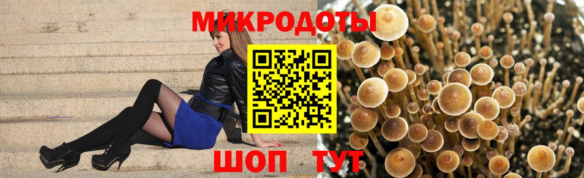 Галлюциногенные грибы MAGIC MUSHROOMS Миллерово